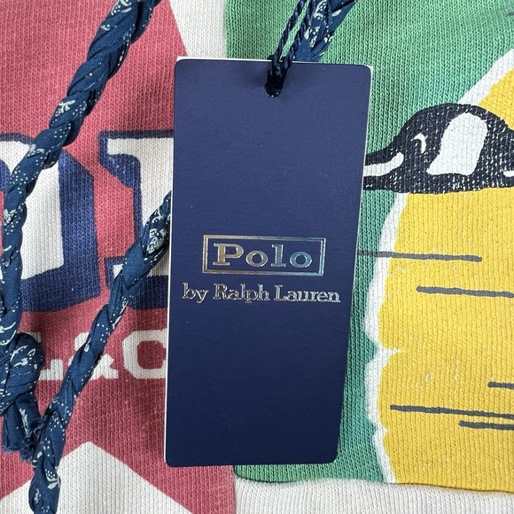 Polo Ralph Lauren Hoodie Polo Country Patchwork Multi Logo Mens Large Dry Goods - Picture 10 of 13